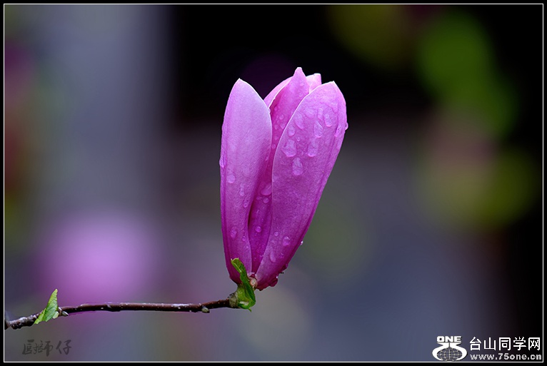 DSC_5026.jpg
