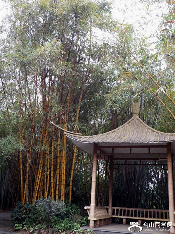 DSCF3500.jpg