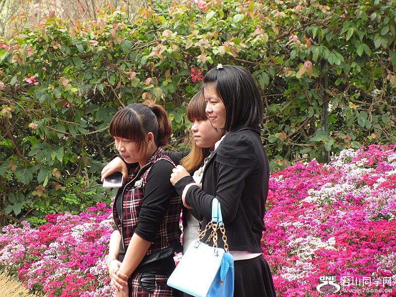 DSCF3980.jpg
