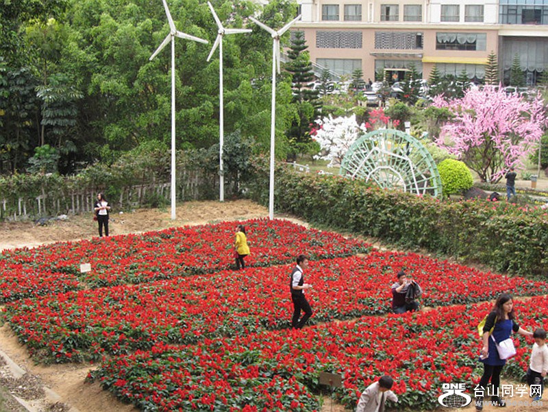 DSCF3970.jpg