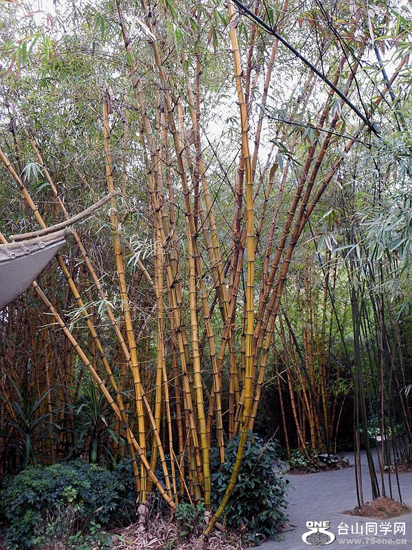 DSCF3501.jpg