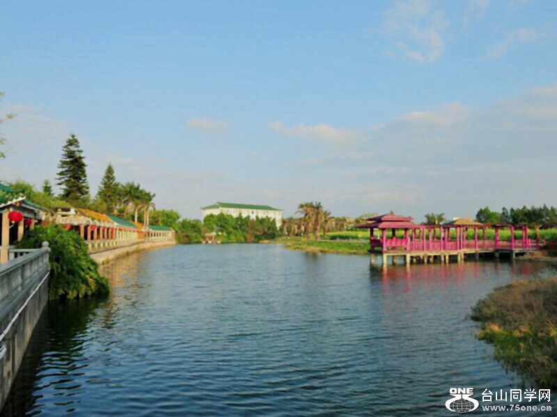 DSCF8103.jpg