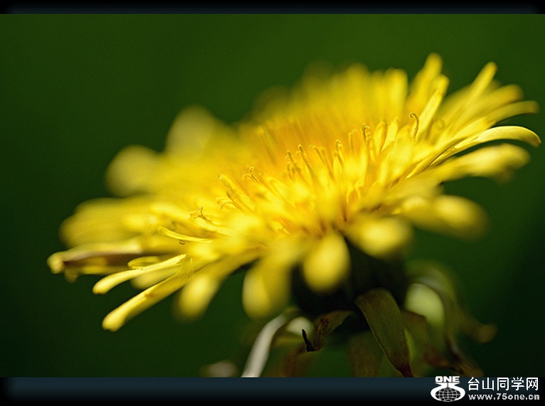 DSC_7874,.jpg