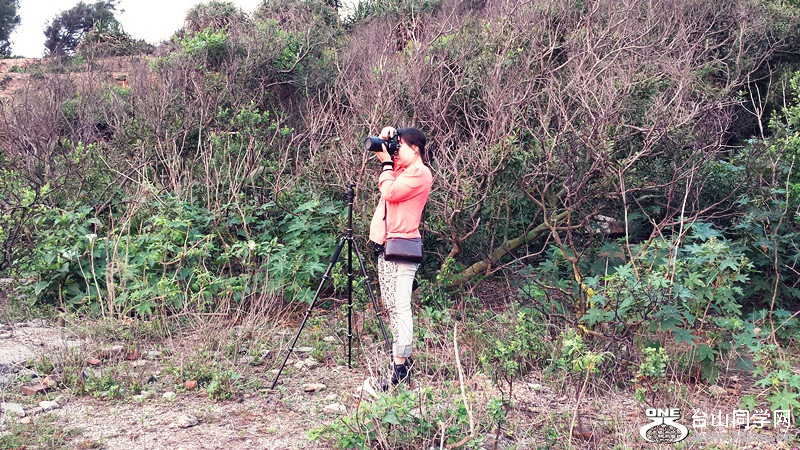 Ƭ 042.jpg
