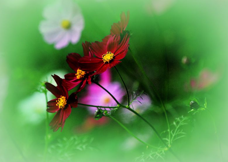IMG_7244_����.jpg