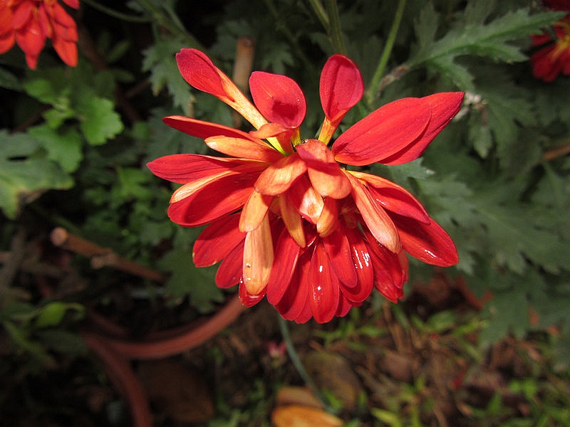 DSCF3840.jpg