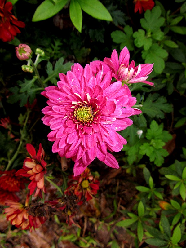IMG_3838.jpg