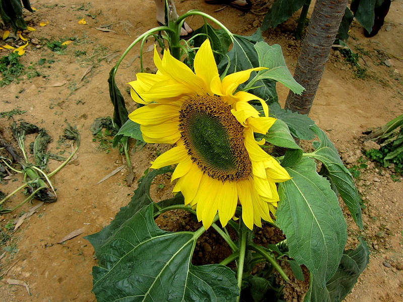 ��_4120.jpg