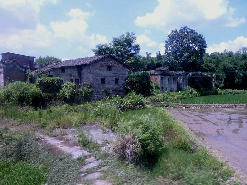 P1090988.jpg