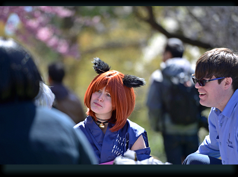DSC_7985_.jpg