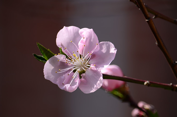 DSC_0875_����.jpg