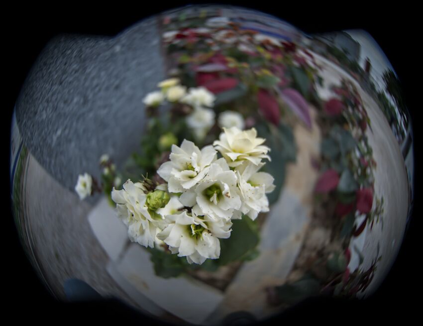 QQͼƬ20150331140824.jpg