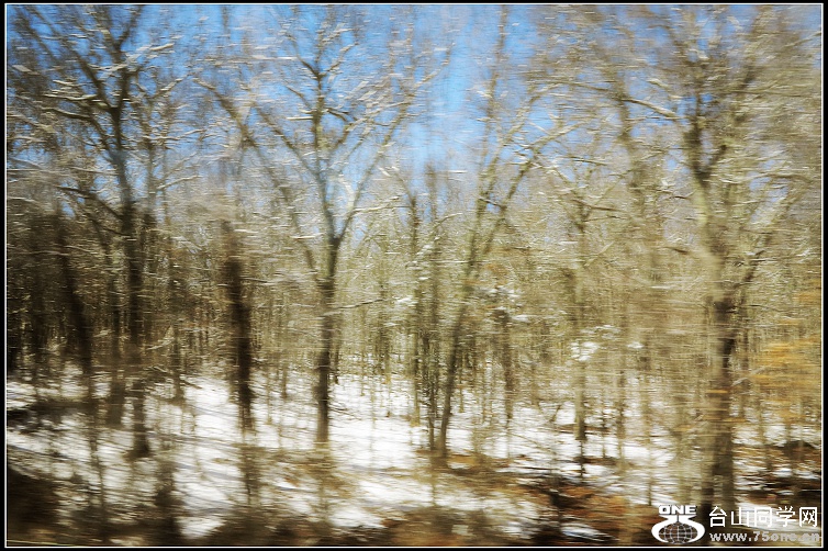 IMG_4787.JPG