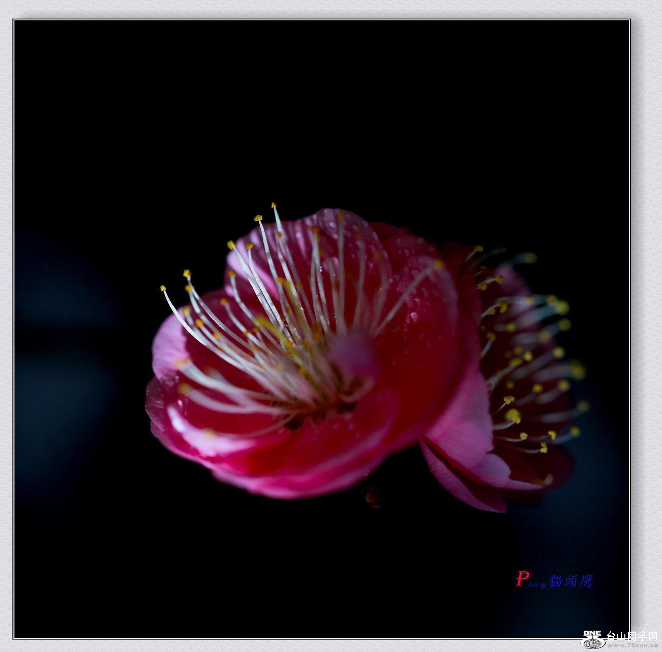 �}�u -3N9A1138-2.jpg