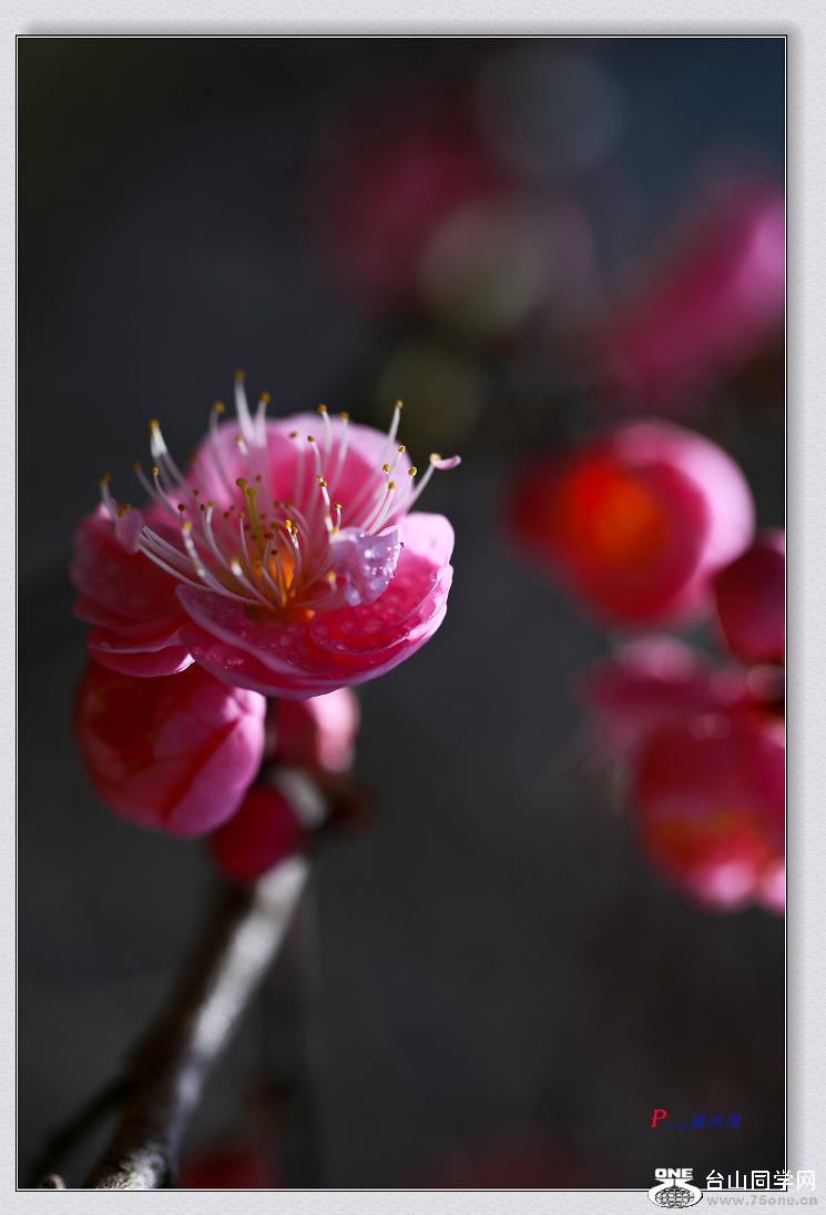 �}�u -3N9A0978-2.jpg