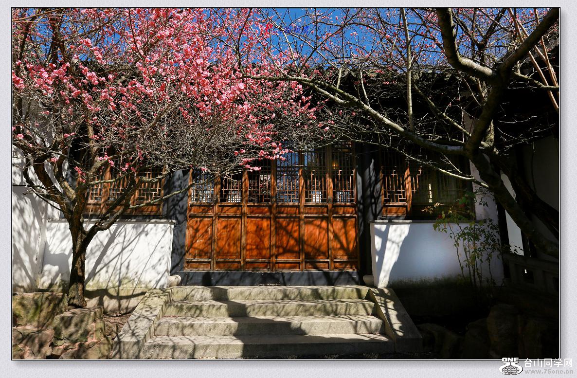 �}�u (2) -3N9A1283-2.jpg