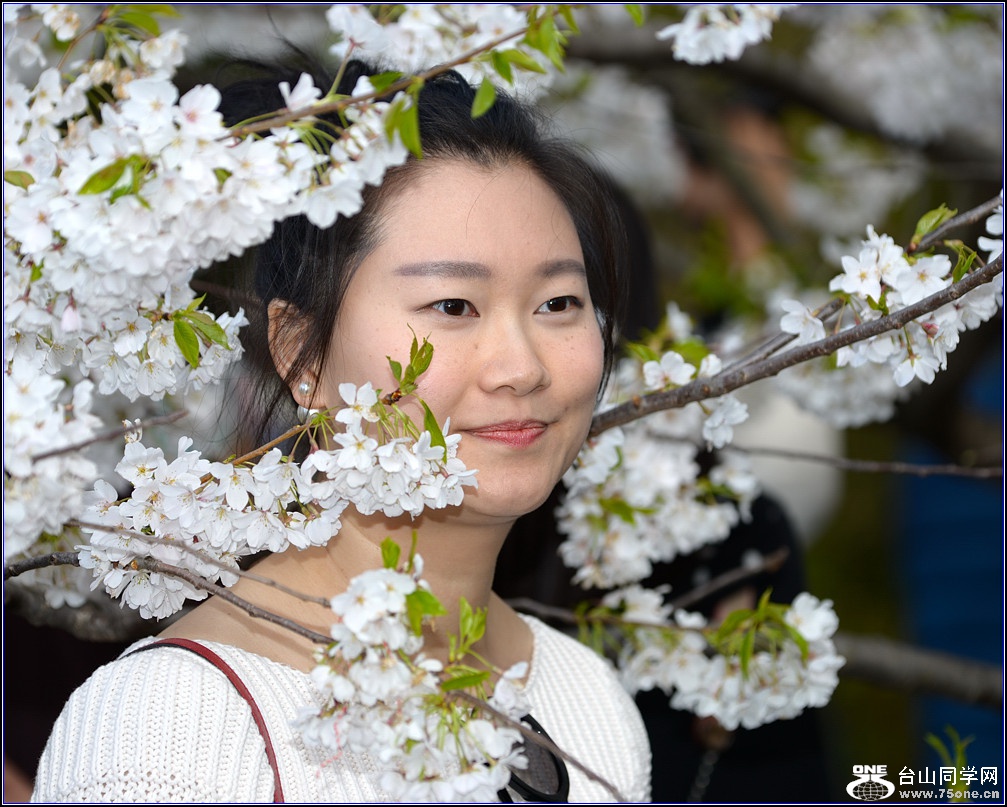 DSC_2534_.jpg