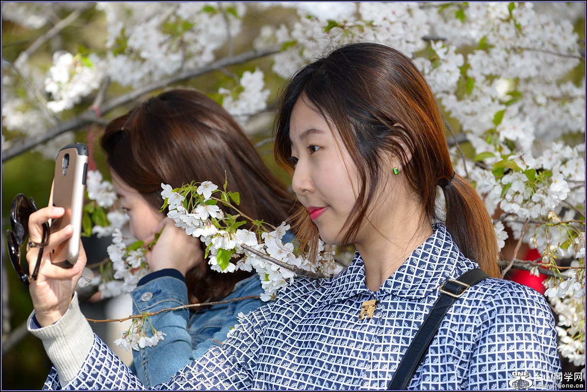 DSC_2562_.jpg