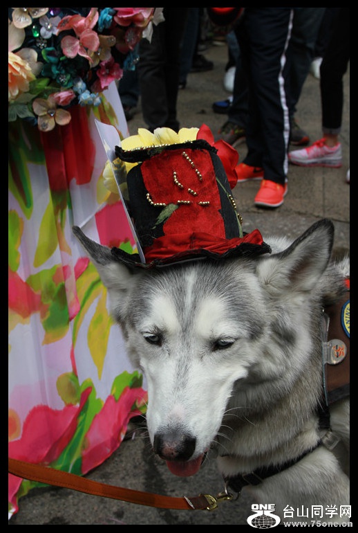 IMG_6686_.jpg