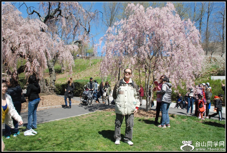 DSC_0039.jpg