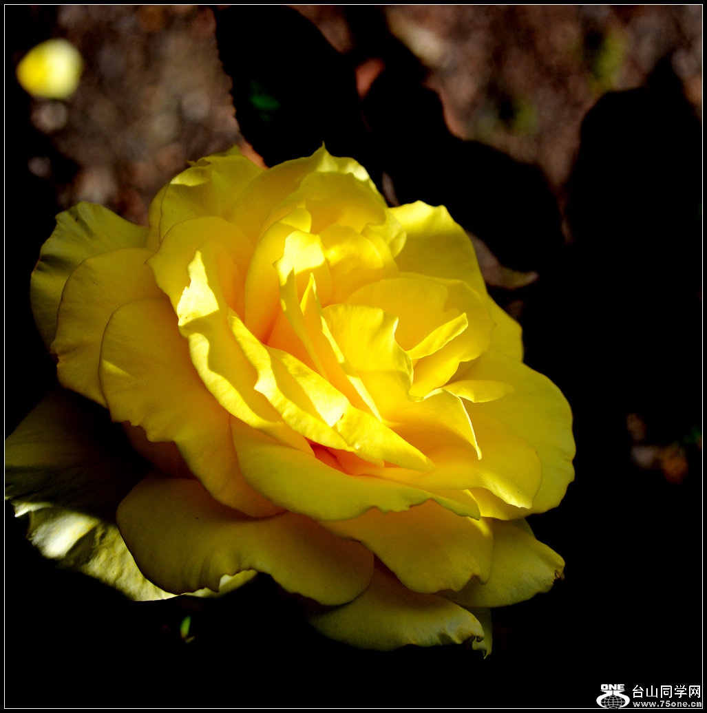 DSC_1036.jpg