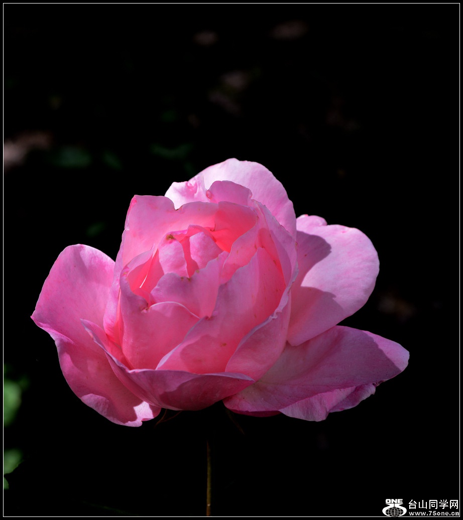 DSC_1039.jpg