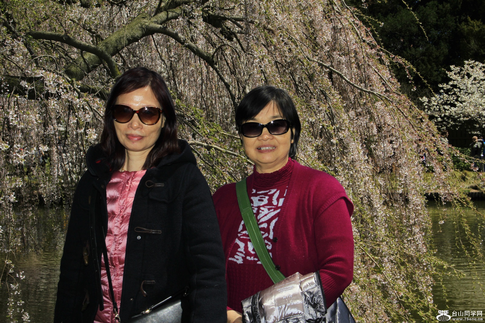 _MG_3895_meitu_64.jpg
