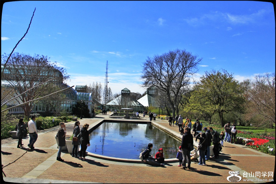 _MG_3535.JPG