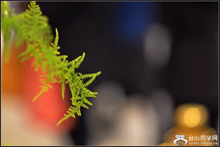 DSC_5680.jpg