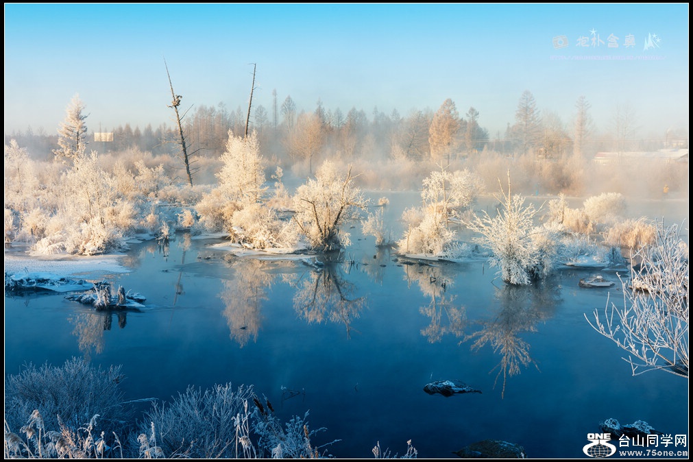 DSC_9906s.jpg