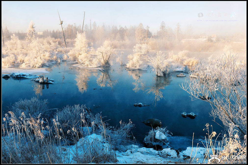 DSC_9910s.jpg