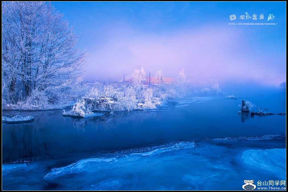 DSC_9779s.jpg