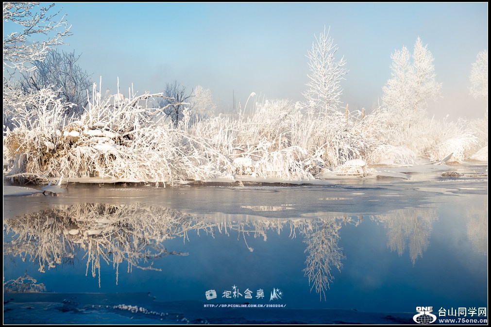 DSC_9928s.jpg