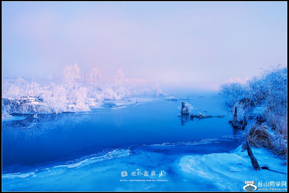 DSC_9783s.jpg