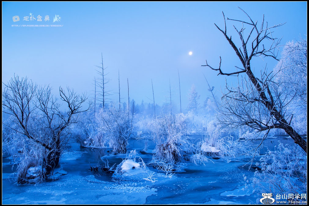 DSC_9788s.jpg