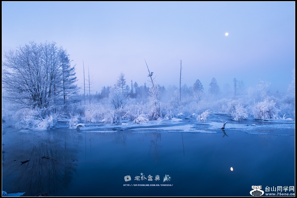 DSC_9794s.jpg