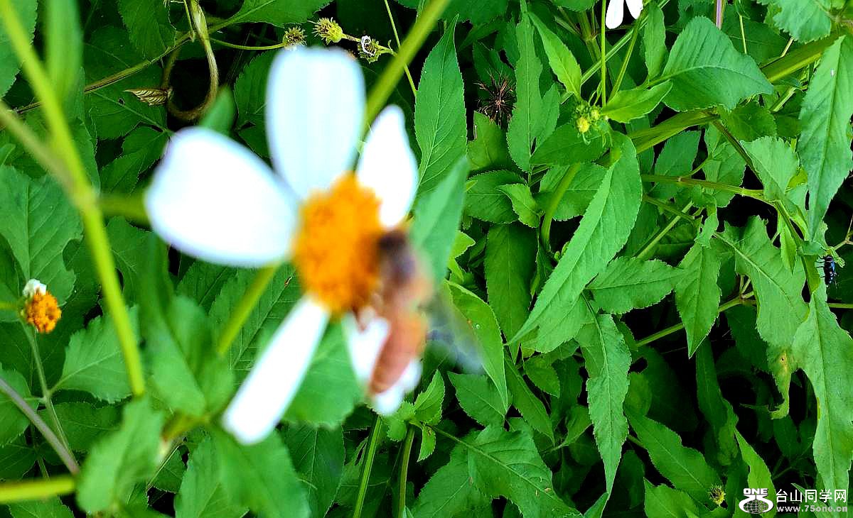 20150424_150047.jpg