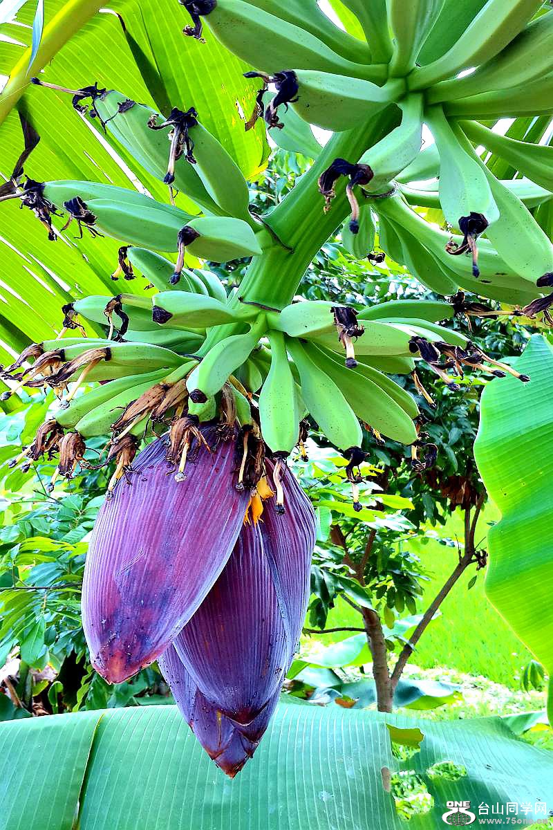 20150424_145949.jpg