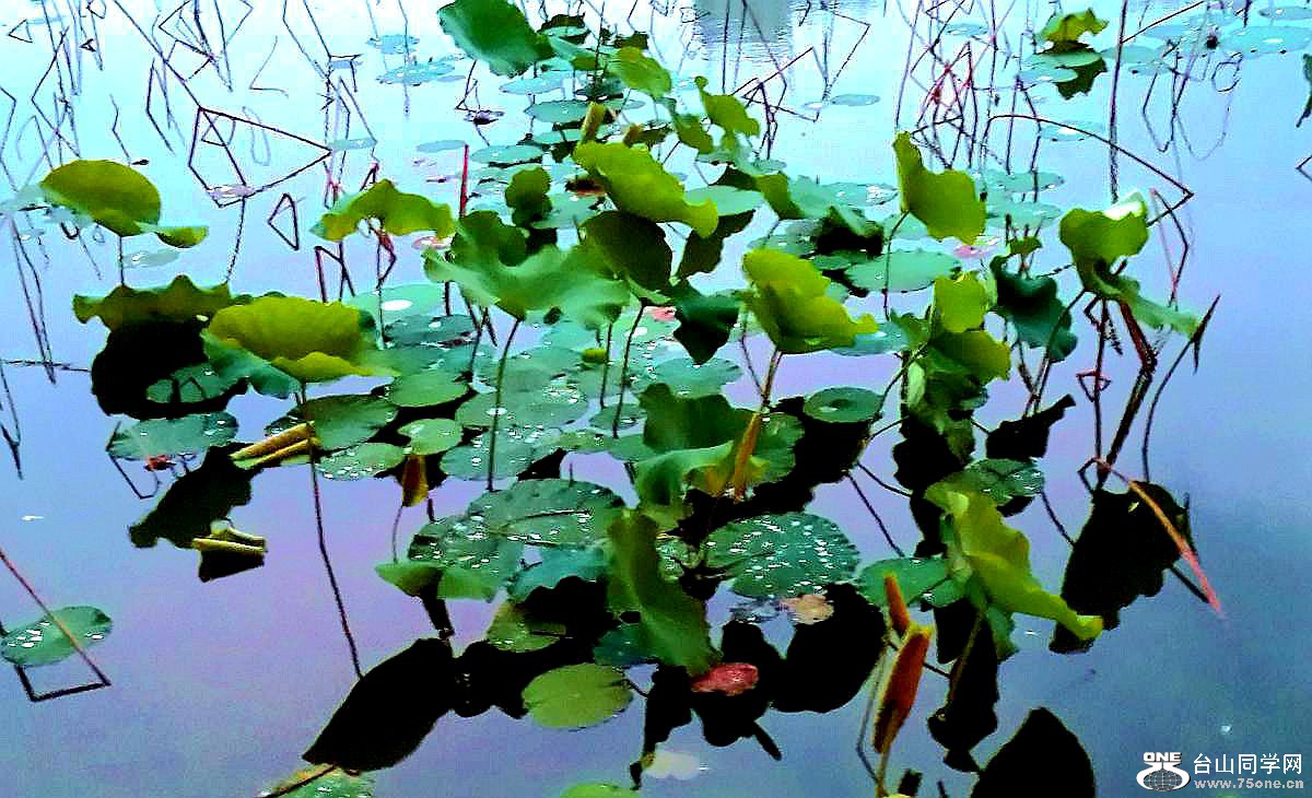 20150420_190310.jpg
