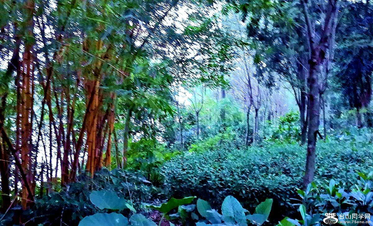 20150428_185401.jpg