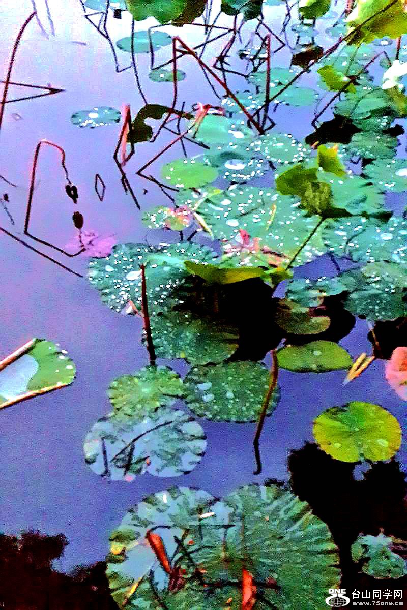 20150420_190332.jpg