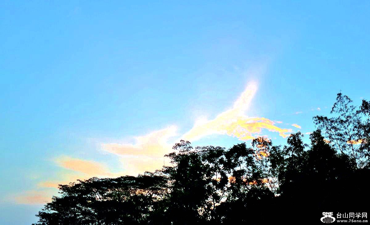 20150428_185208.jpg
