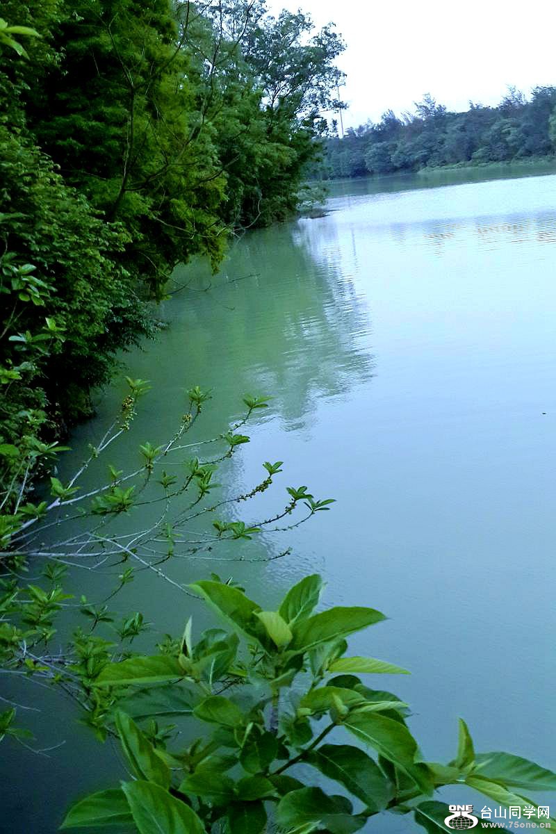 20150428_185233.jpg
