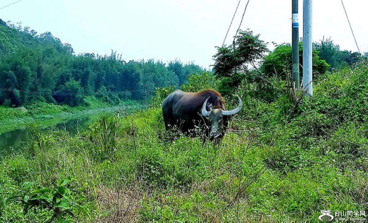 20150424_150517.jpg