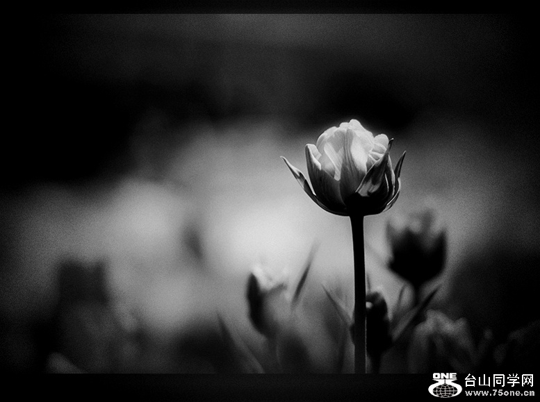 DSC_8342.,.jpg