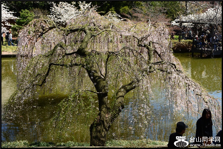DSC_1794.jpg