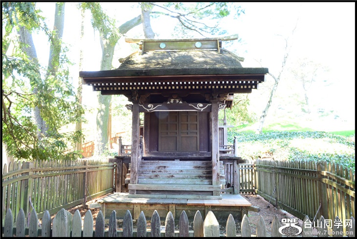 DSC_1800.jpg