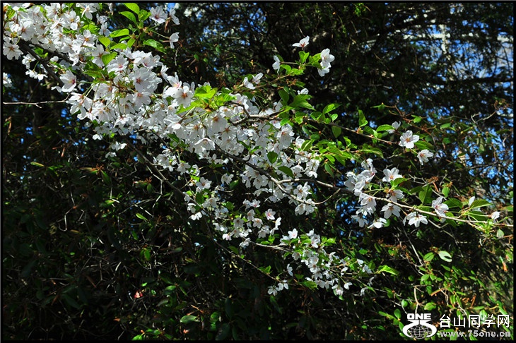 DSC_0446.jpg