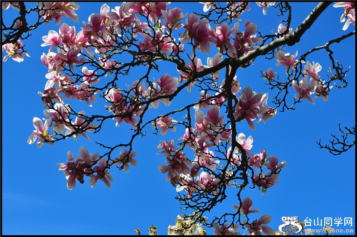 DSC_0420.jpg