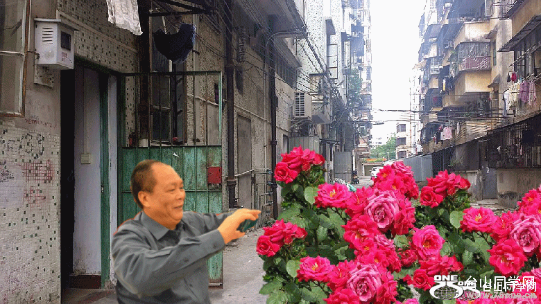 63_35655_974905e2f7916c8_conew1.gif